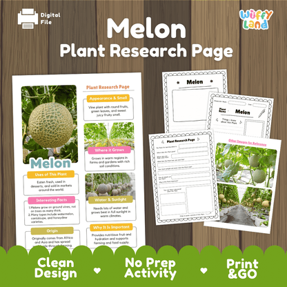 Melon Plant Research Page Worksheets and Fact Sheet