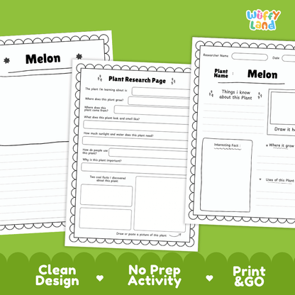 Melon Plant Research Page Worksheets and Fact Sheet