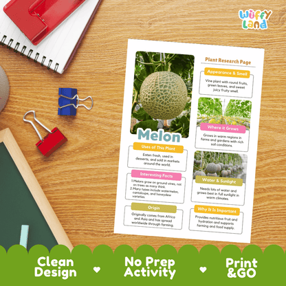 Melon Plant Research Page Worksheets and Fact Sheet