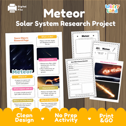 Meteor Solar System Research Project Worksheets and Fact Sheet