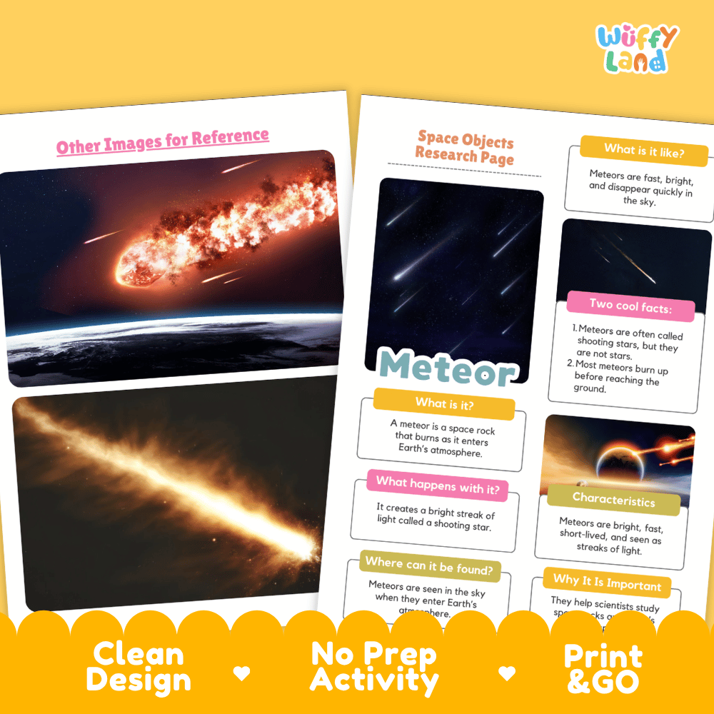 Meteor Solar System Research Project Worksheets and Fact Sheet