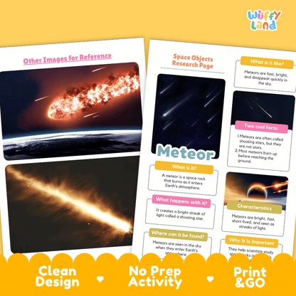 Meteor Solar System Research Project Worksheets and Fact Sheet