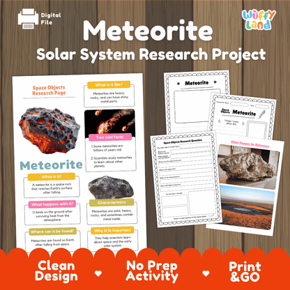 Meteorite Solar System Research Project Worksheets and Fact Sheet