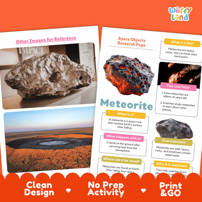 Meteorite Solar System Research Project Worksheets and Fact Sheet