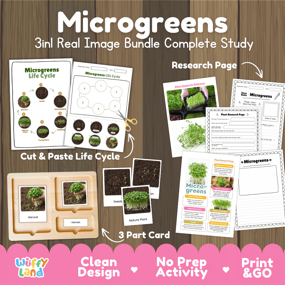 Microgreens 3in1 real image bundle complete study printable featuring life cycle cut and paste worksheets, Montessori 3-part cards, and research pages