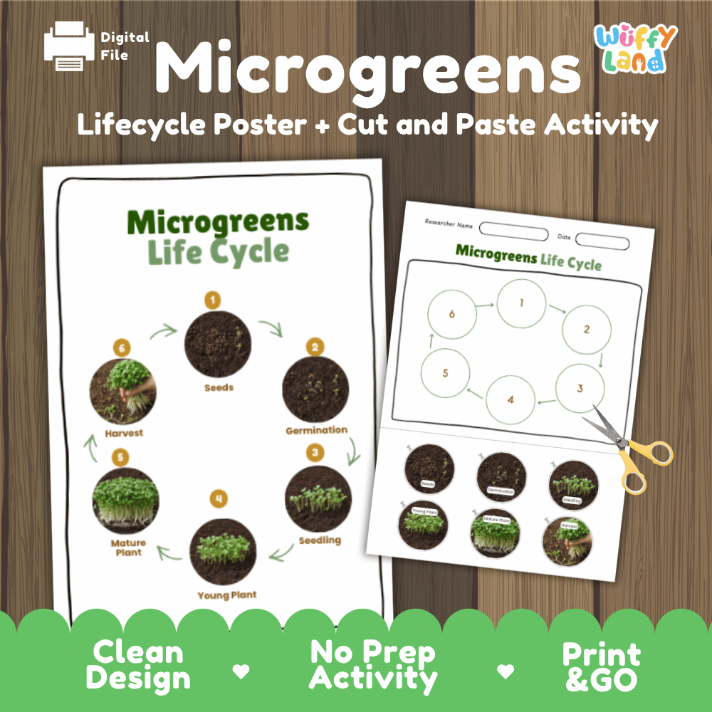 Microgreens Lifecycle Poster and Cut and Paste Activity Worksheets | Plant Science Printables