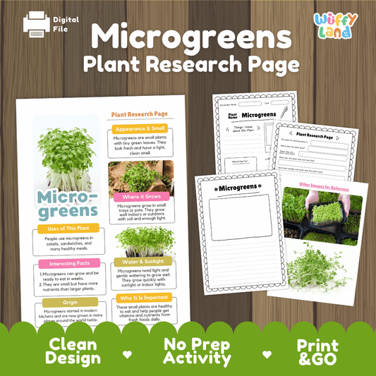 Student plant research page writing worksheets with real fresh microgreen tray photos, lined note-taking prompts, and drawing frames