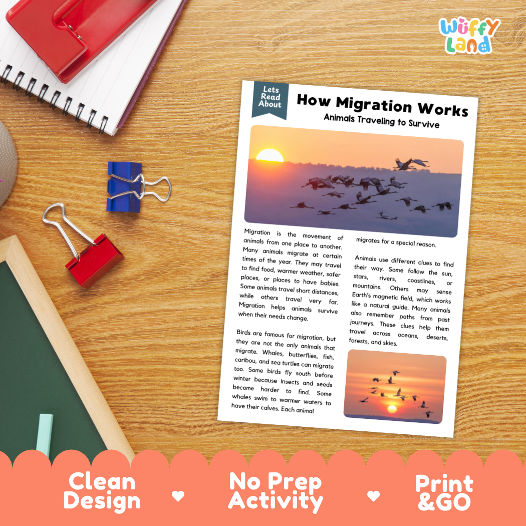 Printable student worksheet with short-answer reading comprehension questions covering animal migration and ecology