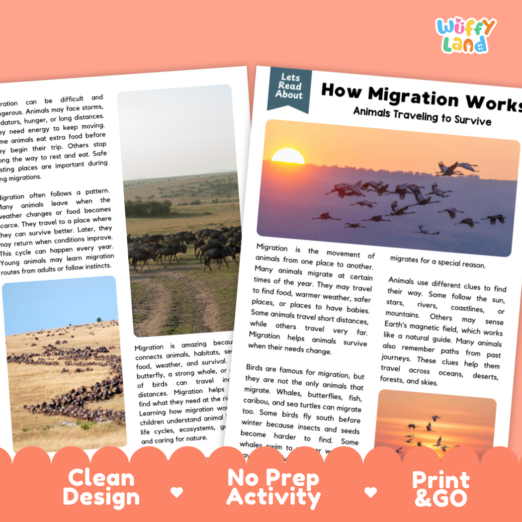 Complete teacher answer key worksheet providing detailed model responses for migration comprehension questions