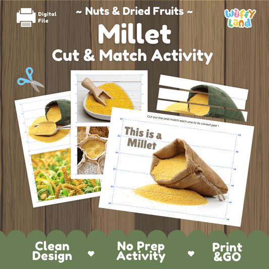 Millet Cut and Match Activity Worksheets | Nuts and Dried Fruits Puzzle Printables