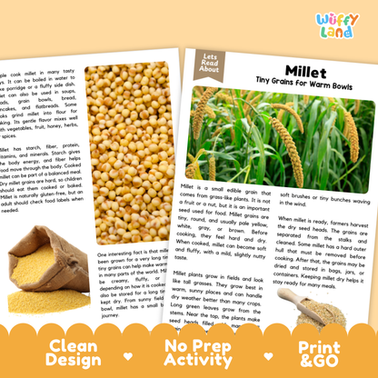 Millet Reading Passage and Comprehension Questions Worksheets with Answer Key