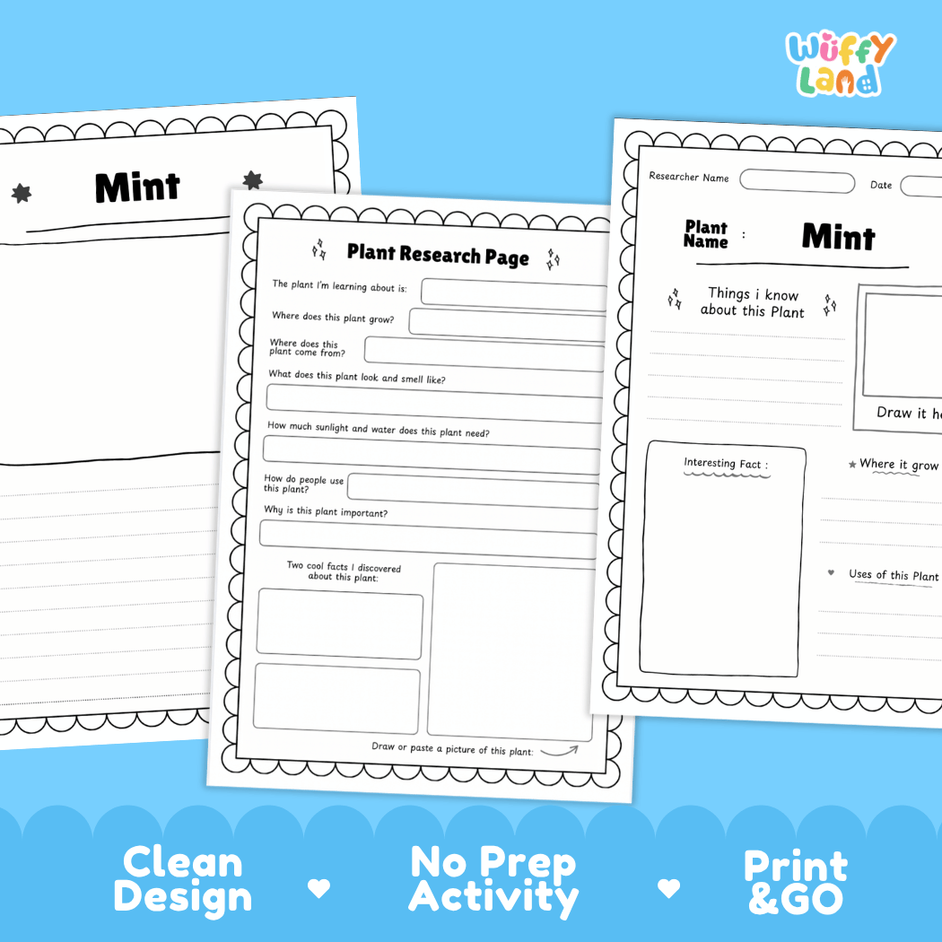 Mint Plant Research Page Worksheets and Fact Sheet
