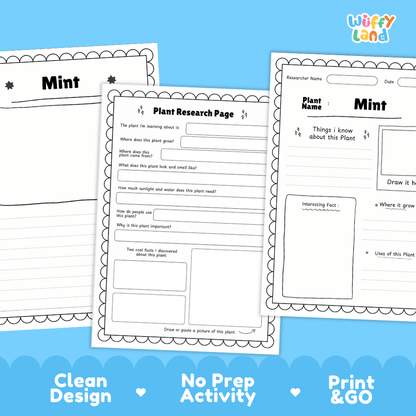 Mint Plant Research Page Worksheets and Fact Sheet