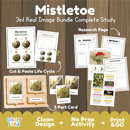Mistletoe plant 3in1 real image bundle complete study printable featuring life cycle cut and paste worksheets, Montessori 3-part cards, and research pages