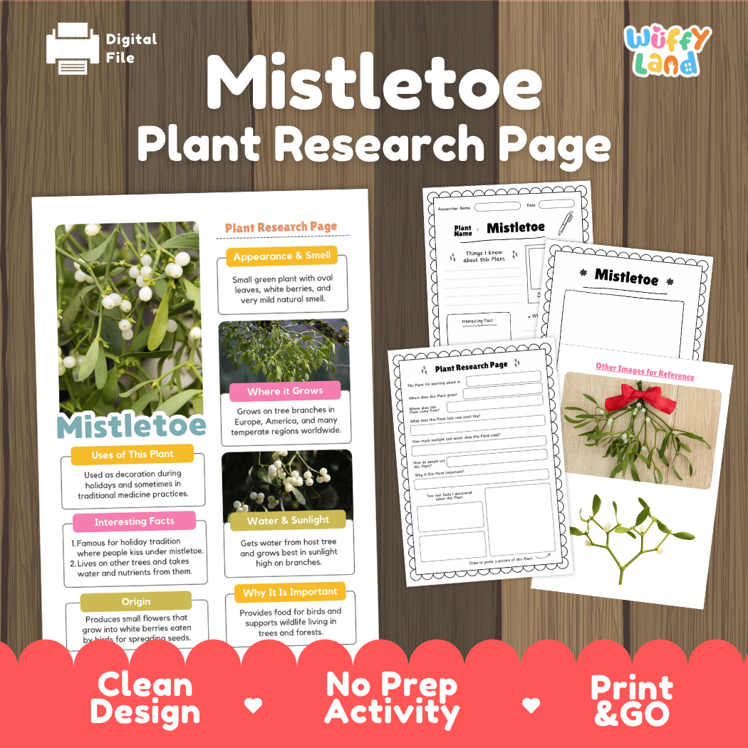 Mistletoe Plant Research Pages and Worksheets