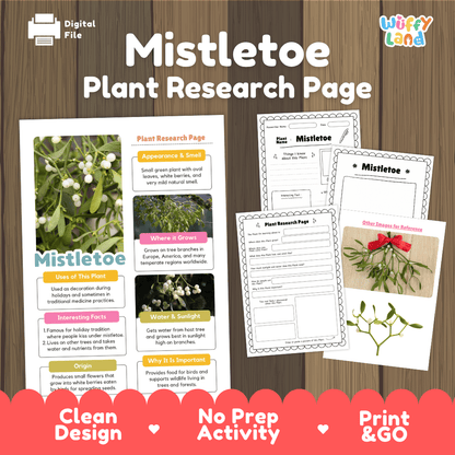 Mistletoe Plant Research Pages and Worksheets