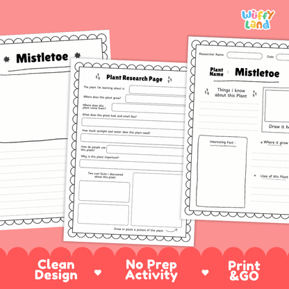Mistletoe Plant Research Pages and Worksheets