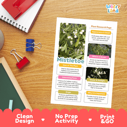 Mistletoe Plant Research Pages and Worksheets