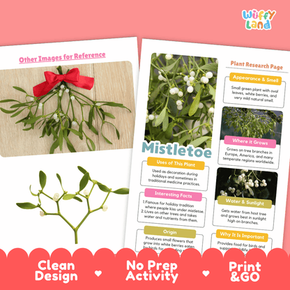 Mistletoe Plant Research Pages and Worksheets