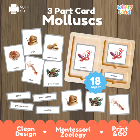 Molluscs 3 part cards Montessori printable featuring 18 animals with realistic pictures, word labels and matching cards
