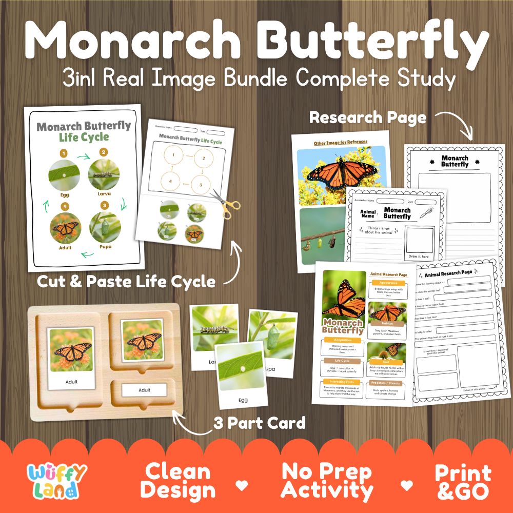 Monarch Butterfly 3-in-1 real image bundle complete study cover showing cut and paste life cycle, 3 part cards, and research pages