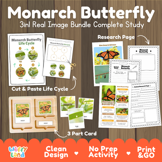 Monarch Butterfly 3-in-1 real image bundle complete study cover showing cut and paste life cycle, 3 part cards, and research pages
