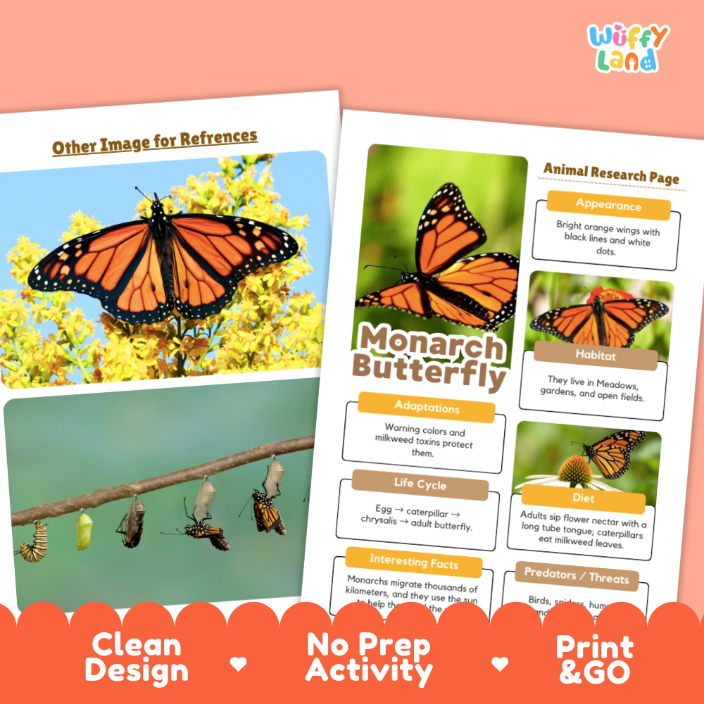 Two printed butterfly-themed activity sheets shown on a peach background, with the title 'Monarch Butterfly' and sections for appearance, habitat, adaptations, life cycle, diet, and interesting facts. The sheets feature butterfly photos and text boxes, and the brand name 'Wiffly land' appears in the top right.