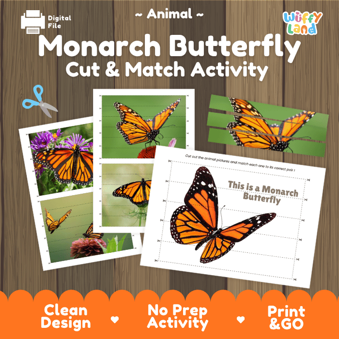 Monarch Butterfly Cut and Match Activity Printables Worksheets