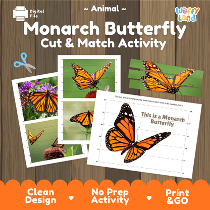 Monarch Butterfly Cut and Match Activity Printables Worksheets