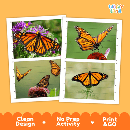 Monarch Butterfly Cut and Match Activity Printables Worksheets