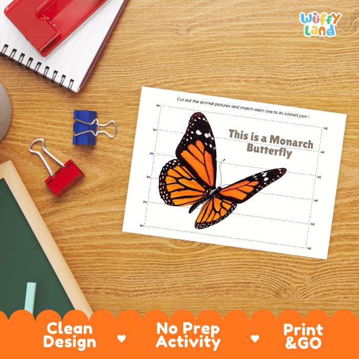 Monarch Butterfly Cut and Match Activity Printables Worksheets