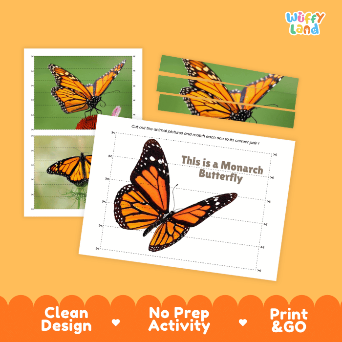 Monarch Butterfly Cut and Match Activity Printables Worksheets