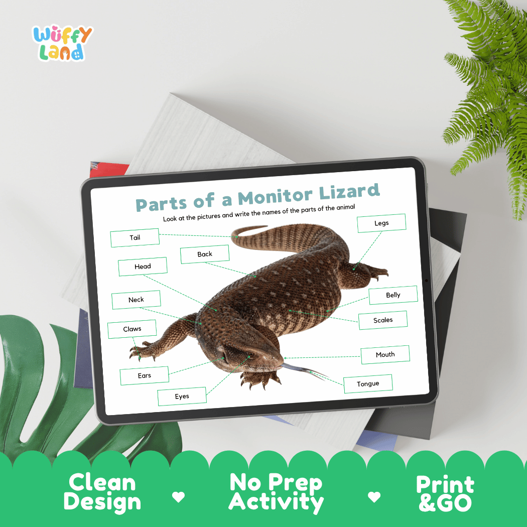 Hands-on monitor lizard anatomy cut and paste worksheet with printable word tags, callout pointer lines, and scissors graphic