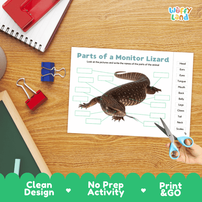 Differentiated monitor lizard body parts labeling worksheets featuring fill-in write-in boxes and vocabulary word bank