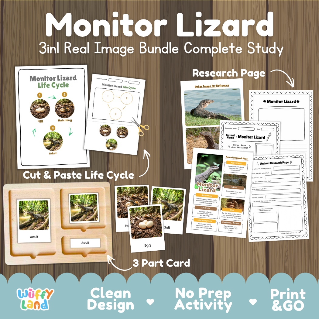 Monitor Lizard 3-in-1 real image bundle complete study cover showing cut and paste life cycle, 3 part cards, and research pages