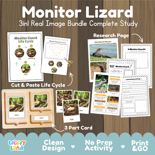 Monitor Lizard 3-in-1 real image bundle complete study cover showing cut and paste life cycle, 3 part cards, and research pages