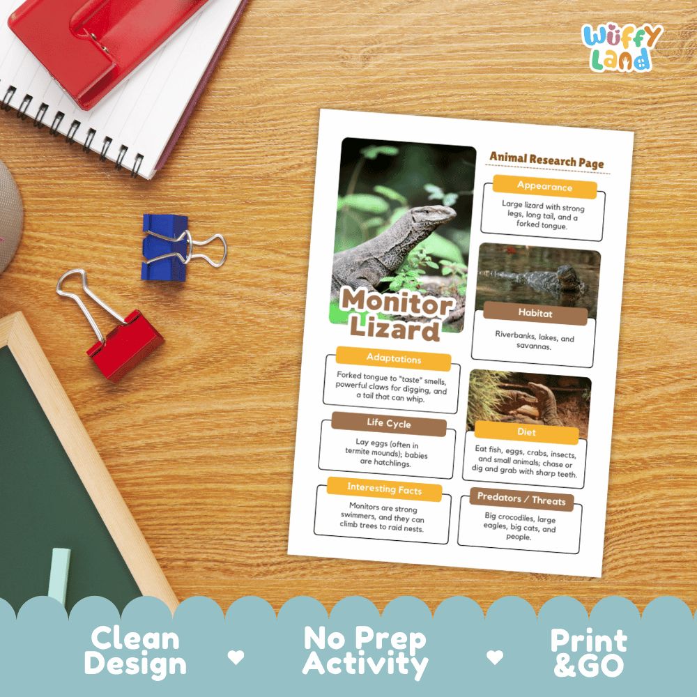 An educational printout titled 'Monitor Lizard' laid on a wooden desk, surrounded by school supplies including a spiral notebook, binder clips, and a red folder. The print includes a lizard photo and text boxes about adaptations, habitat, life cycle, and interesting facts.