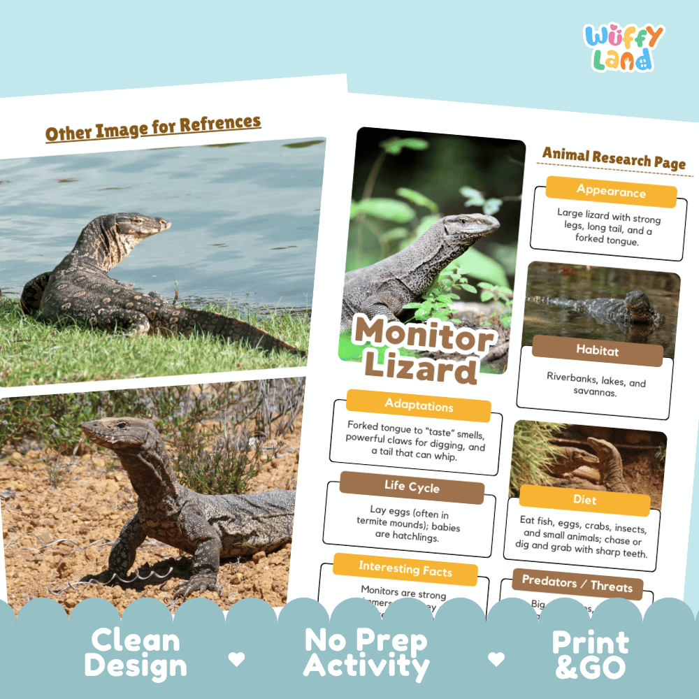 A printed educational poster or booklet page about a monitor lizard, shown partly overlaid on another page with lizard photos and text blocks. The design includes the brand name 'Wuffly Land' in the top right and decorative blue labels along the bottom reading 'Clean Design', 'No Prep Activity', and 'Print & GO'.