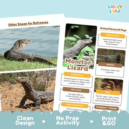 A printed educational poster or booklet page about a monitor lizard, shown partly overlaid on another page with lizard photos and text blocks. The design includes the brand name 'Wuffly Land' in the top right and decorative blue labels along the bottom reading 'Clean Design', 'No Prep Activity', and 'Print & GO'.