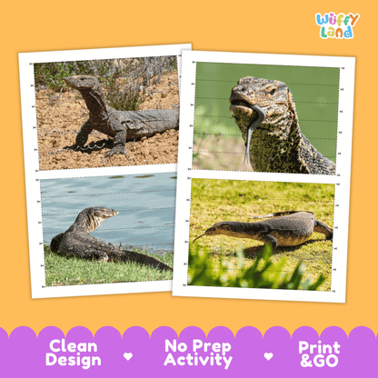 Monitor Lizard Cut and Match Activity Worksheets | Animal Puzzle Printables