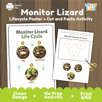 Monitor Lizard Life Cycle Poster and Cut and Paste Activity Worksheets