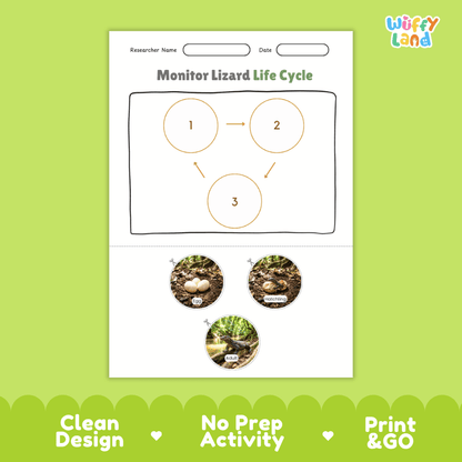 Monitor Lizard Life Cycle Poster and Cut and Paste Activity Worksheets