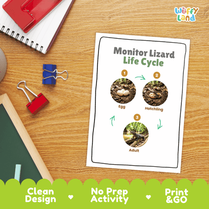 Monitor Lizard Life Cycle Poster and Cut and Paste Activity Worksheets