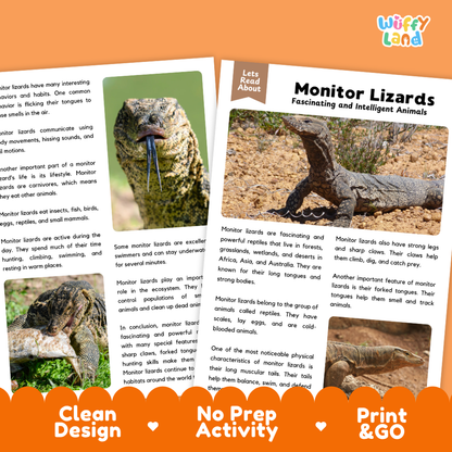 An educational activity sheet titled 'Monitor Lizards Fascinating and Intelligent Animals' from the brand 'Wiffly Land'. The page features a 'Let's Read About' header, a text section, a color-coded fact box, and a photo of a monitor lizard.