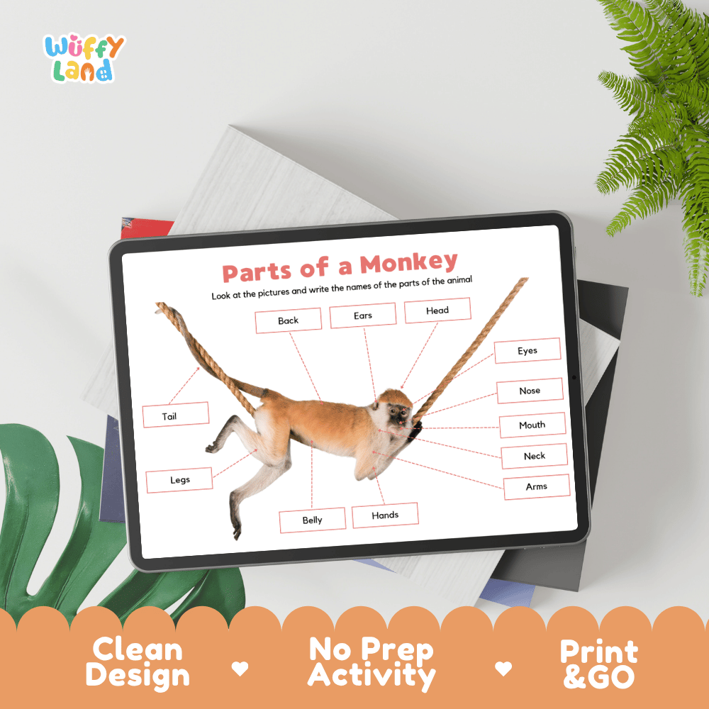 Hands-on monkey anatomy cut and paste worksheet with printable word tags, callout pointer lines, and scissors graphic