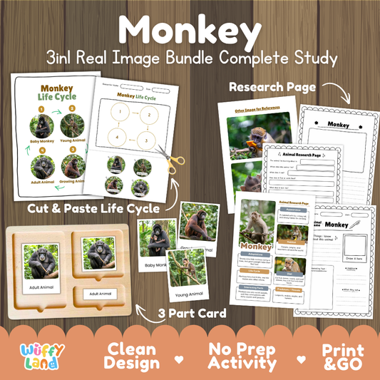 Monkey 3-in-1 real image bundle complete study cover showing cut and paste life cycle, 3 part cards, and research pages