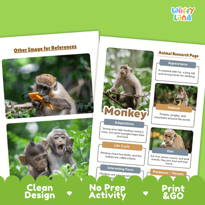 Monkey Animal Research Page Worksheets and Fact Sheet Activity