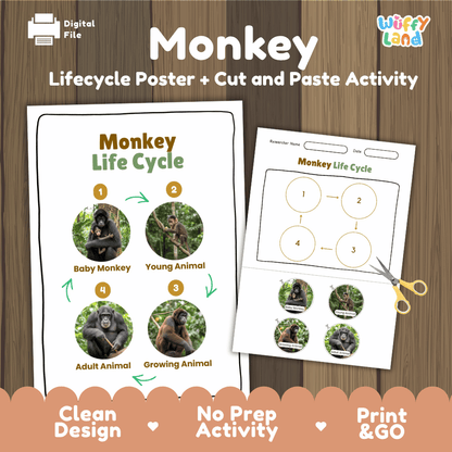 Monkey Life Cycle Poster and Cut and Paste Activity Worksheets