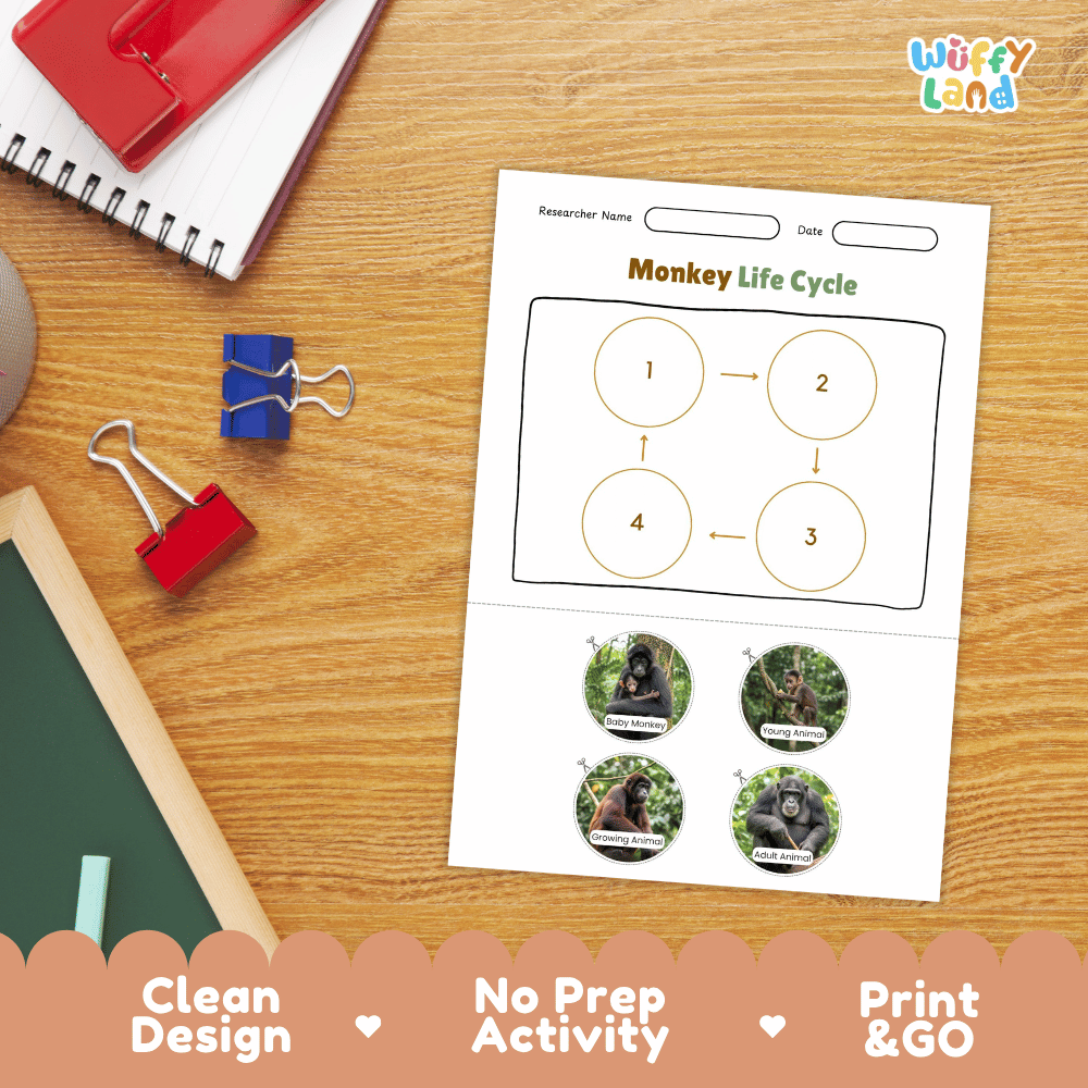 Monkey Life Cycle Poster and Cut and Paste Activity Worksheets
