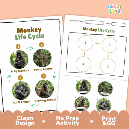 Monkey Life Cycle Poster and Cut and Paste Activity Worksheets